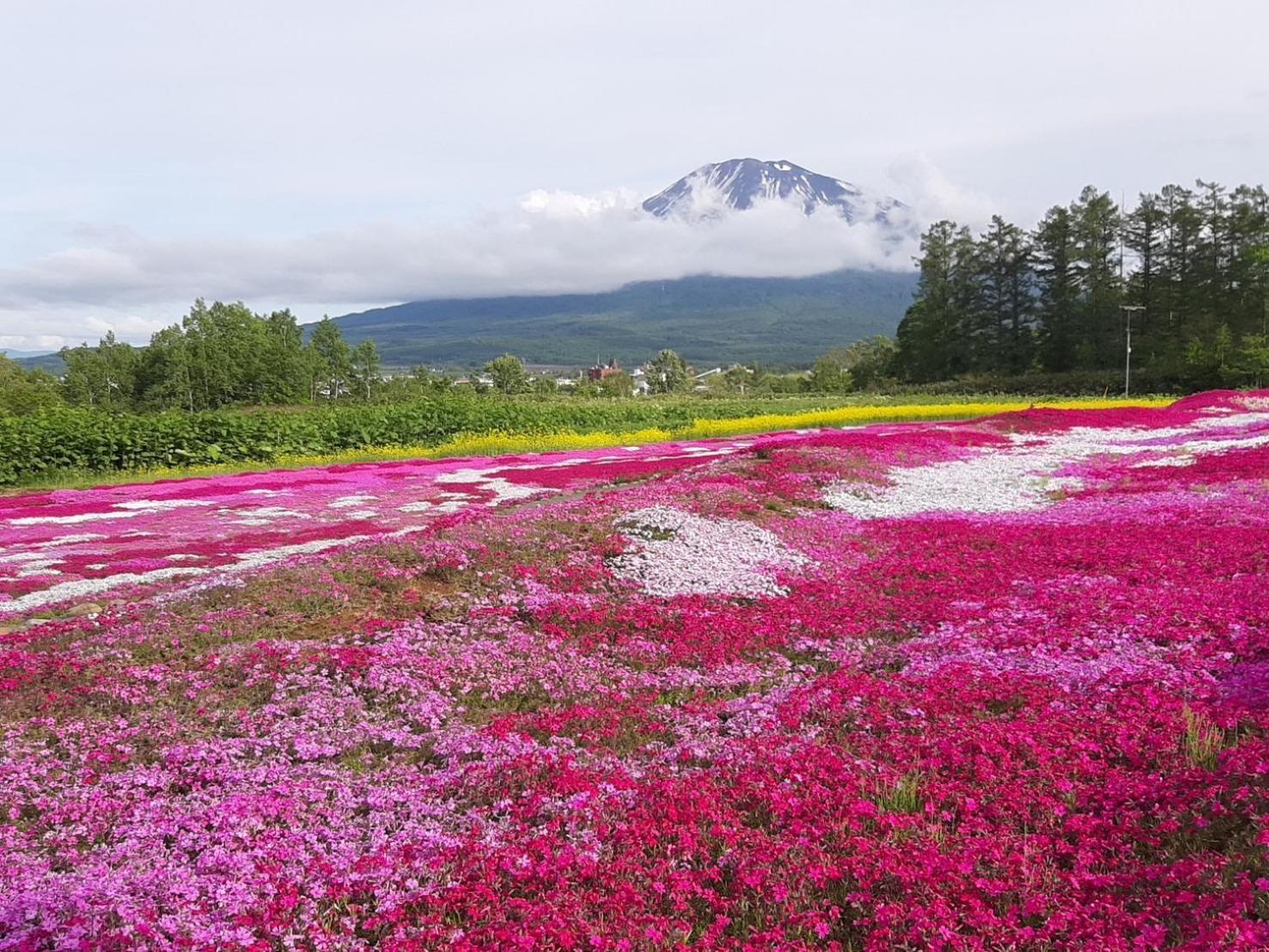 Tr Niseko House Room Sky Екстериор снимка