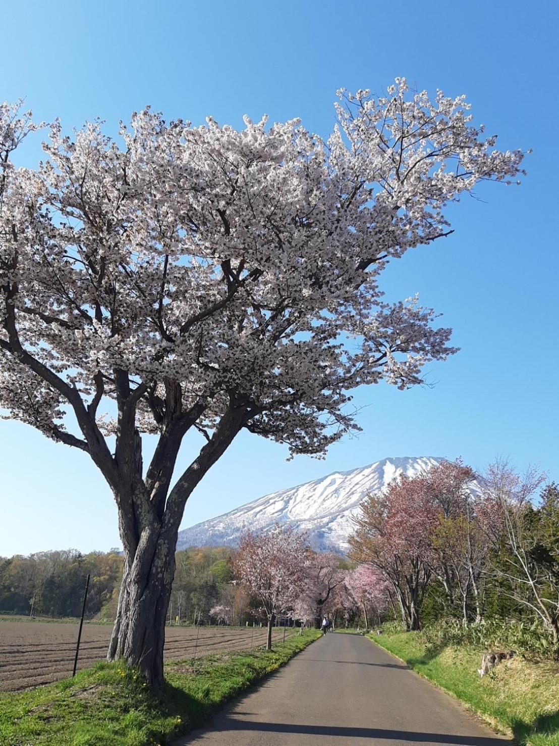 Tr Niseko House Room Sky Екстериор снимка